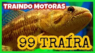99 POP está TRAINDO e jogando CONTRA os MOTORISTAS