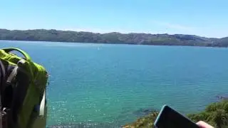 Wellington | At A Glance