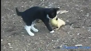 Нравится мне....  прикольн