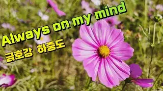Always on my mind - Willie Nelson