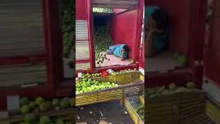 Работа мечты