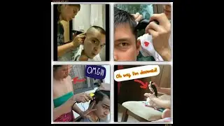 CATlebrity: FILIPINO CELEBRITIES LOCKDOWN HAIRCUT CHALLENGE.....WITH A CUTE CAT!!