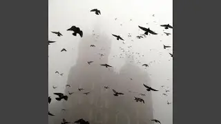 Last Look Extended (Slowed)