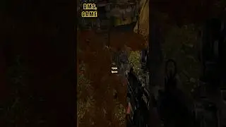 Заключил Стрелка в аномалию   и тем самым сломал игру STALKER Clear Sky #dms #fans #shorts #stalker