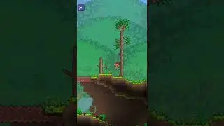 Terraria, But With Every Mod Installed!