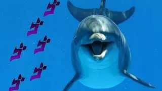 JoJo the Shark Killer