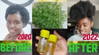 Homemade Aloevera Hair Oil For Extreme Hair Growth and Thickness