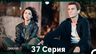 Дикий 37 Серия (Русский Дубляж)