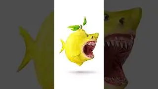 Lemonshark in 