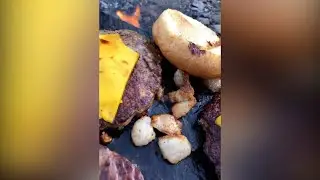 برگر سنگی شترمرغ و بوقلمون در طبیعت