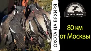 Охота на вяхиря 80км от Москвы