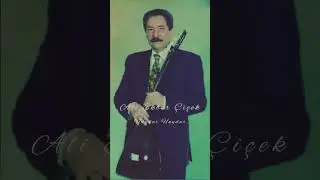 Ali Ekber Çiçek - Haydar Haydar #shorts