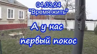 04.03.24  ⏳ Первый покос  ⌛