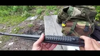Wildcat 22lr. Болячки мелкашки.
