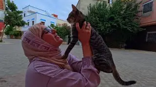 The beautiful tabby cat wanted to put his trust in the lady before the master.