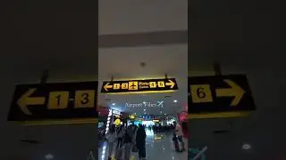 Airport Vibes