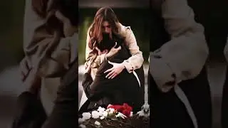 Bir akım varmış #yalıçapkını #seyfer #seyranferit #mertramazandemir #afrasaraçoğlu