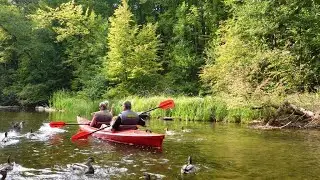 Pisz. Puszcza Piska 2015 rok - lato