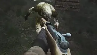Drunken Bloodsucker Fight