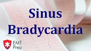 Sinus Bradycardia ECG - EMTprep.com