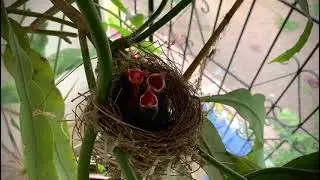 Gift of God in my house