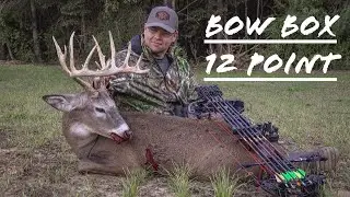 The Bow Box 12