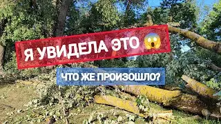 ПЕЧАЛЬНЫЕ ПОСЛЕДСТВИЯ | ЧТО ЭТО БЫЛО? | ДАУГАВПИЛС 2024