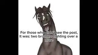 [ Brother vs brother for mare RP - Discussion ]