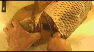 Как почистить и разделать большую рыбу ?