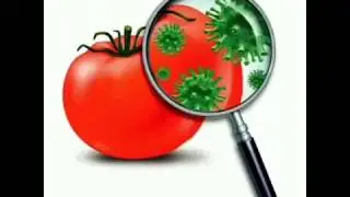 Curso: Panadero - Tecnología de los alimentos