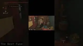 The Best Fuse | Tears of the Kingdom