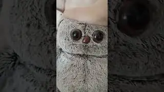 Видите?😂#Басики