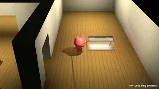 salmon aquarium asmr