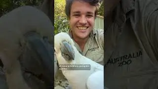 Chandler and his favourite cockatoo friend
