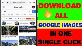 Single click download all Google images. One click all photos download.