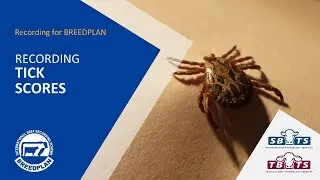 Recording Tick Scores