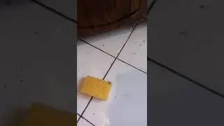 киборги