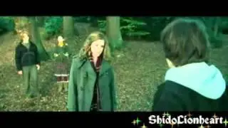 Hermione spiega ad Harry come risalire una parete...
