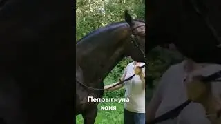 перепрыгнула коня