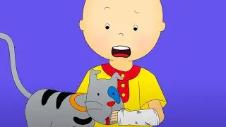 Broken Arm | Caillou Cartoon