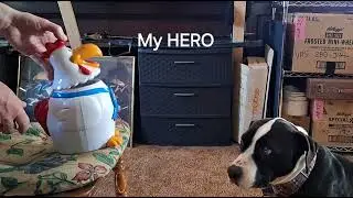 THEO meets the Cookie Jar
