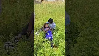 Dream raja ji viral ❤️#shortvideo #naturalworldup53