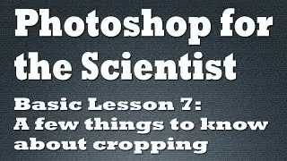 Using the Crop Tool in Photoshop