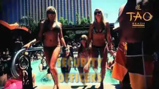 Tao Beach Is Hiring