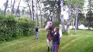 Abby walking Tate part 1