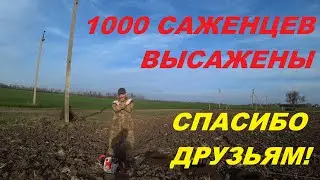 65. КУПИЛИ УСАДЬБУ, ВОССТАНАВЛИВАЕМ! Помощь друзей БЕСЦЕННА!