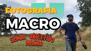 Fotografare farfalle e insetti senza obiettivi macro - fotografia naturalistica per principianti