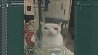 Meow Synth 