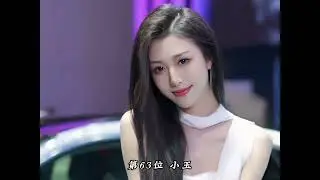 🔥中国车模大全🔥