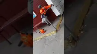 10 декабря 2019 г.